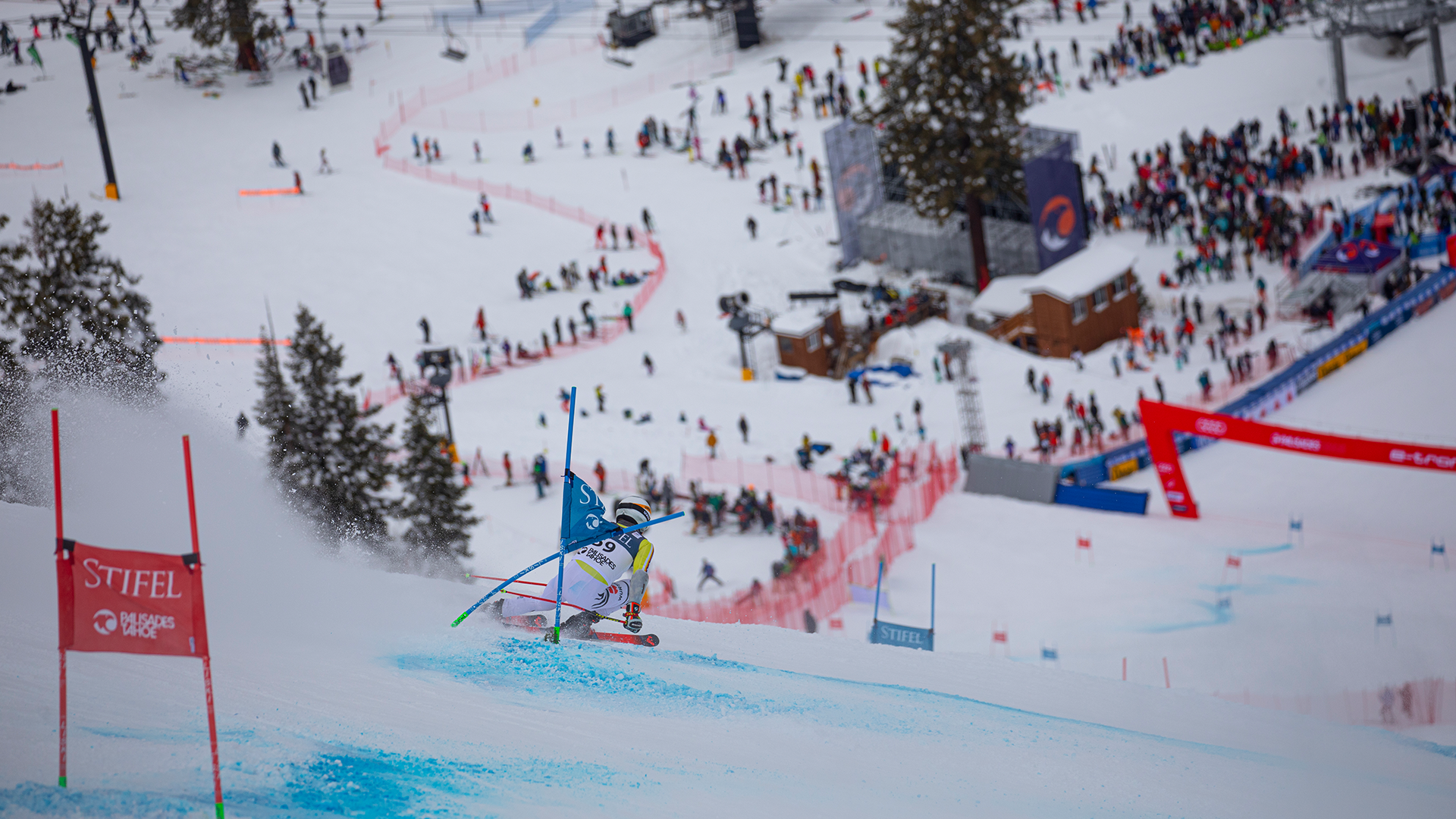 Giant Slalom Run 2